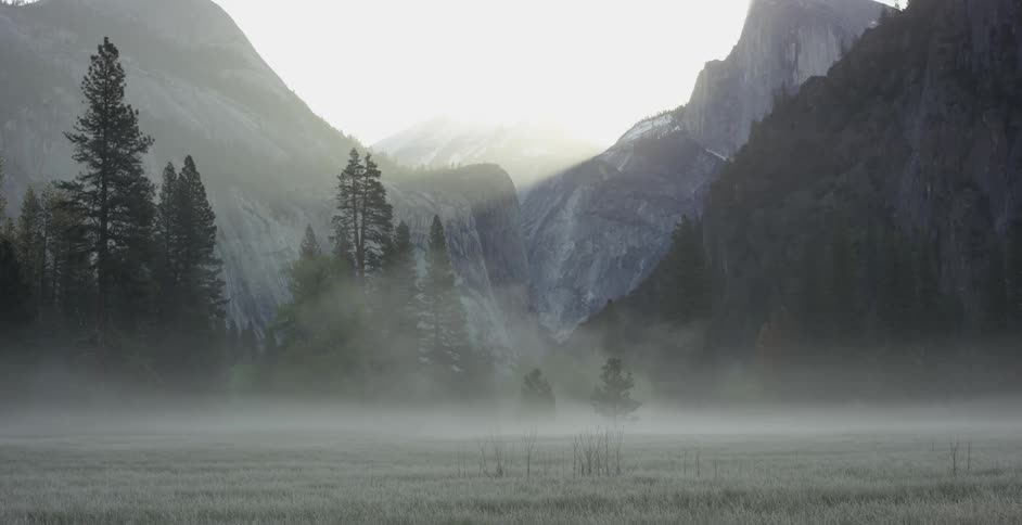 Mist floats around trees in the mountains