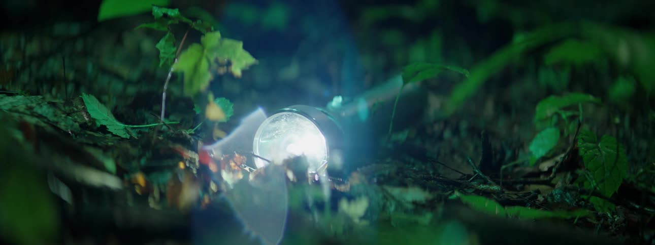 A flashlight is dropped on the ground