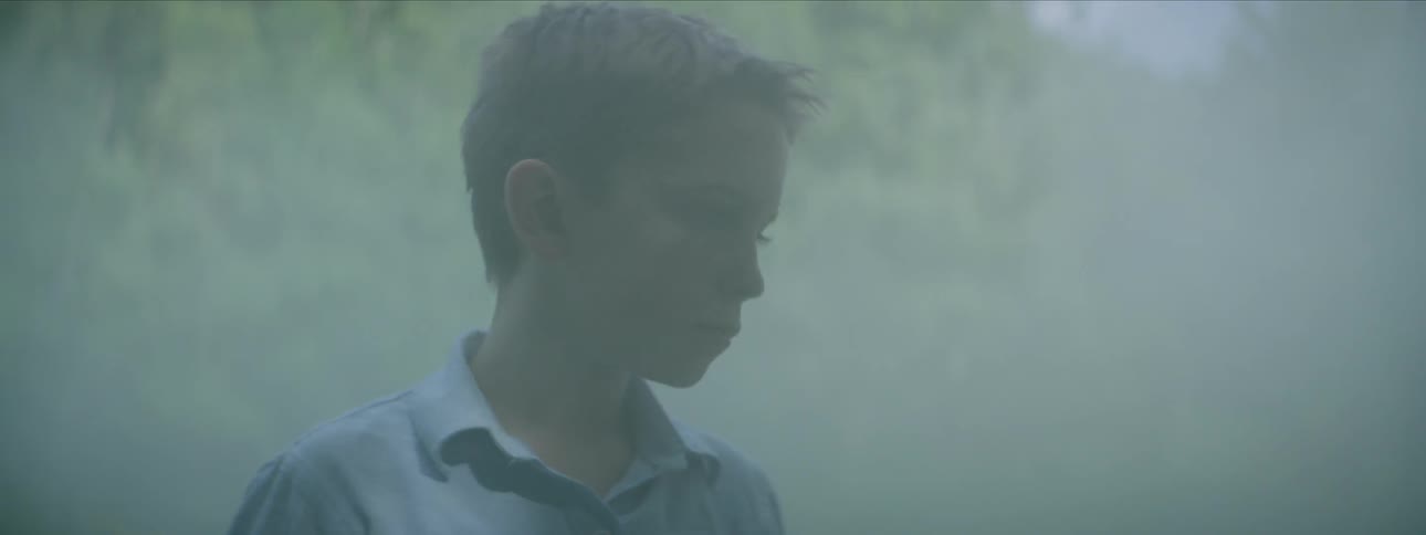 A small boy is looking at something off camera and then turns and walks away