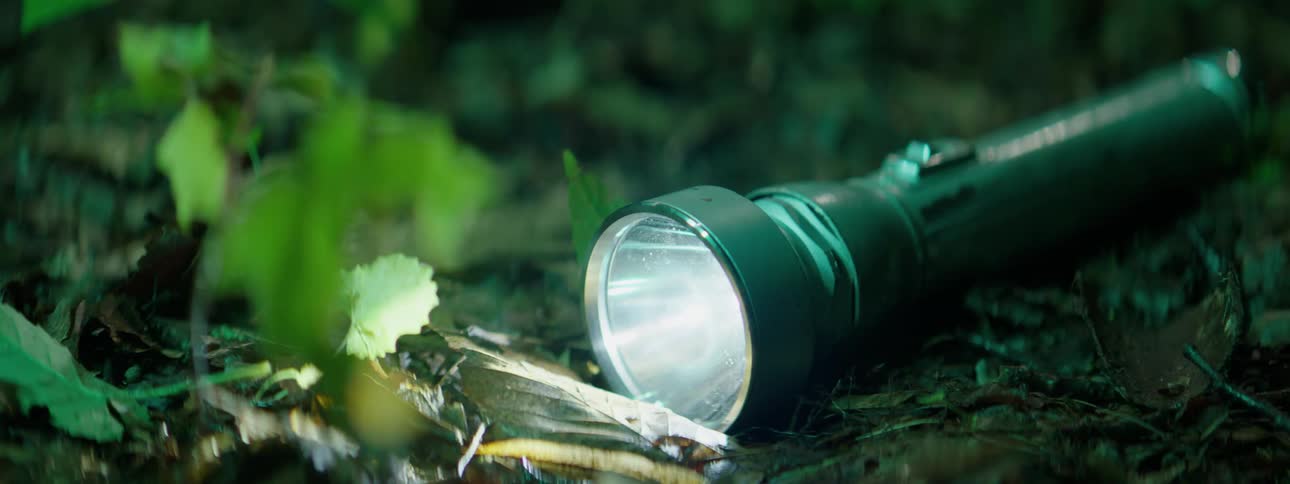 Flashlight shining on the forest floor