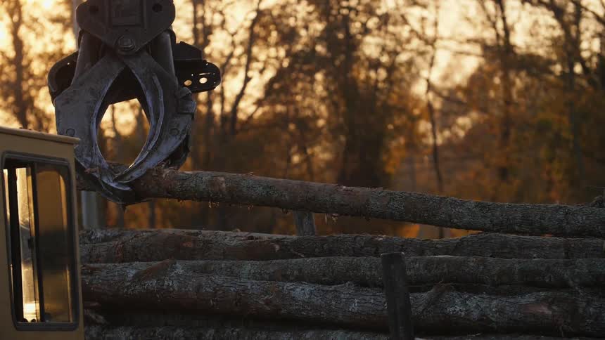 A crane is placing logs on a truck
