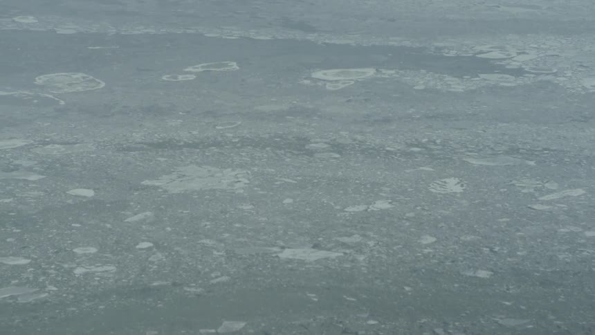 An ice field in quiet water