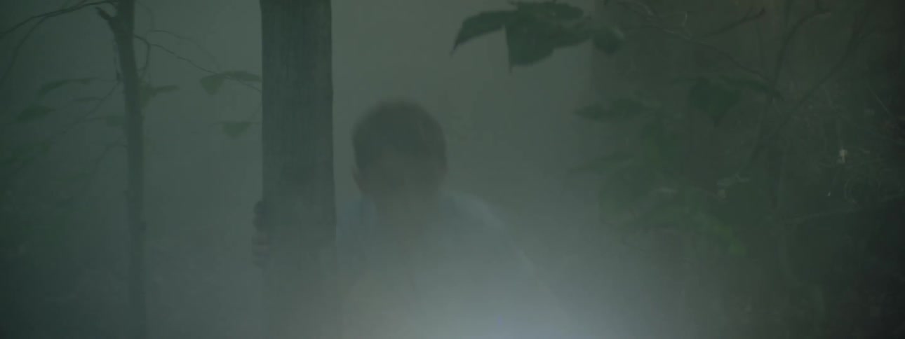 A young boy is searching through the dark woods with a flashlight