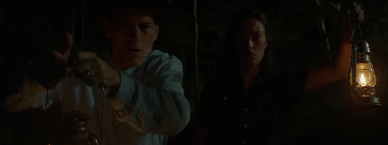 A man and a woman are using lanterns to search for something at night