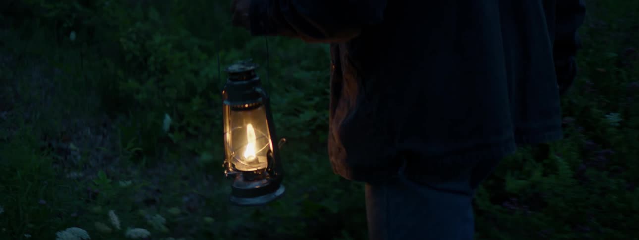 A man is walking with a lantern through the woods