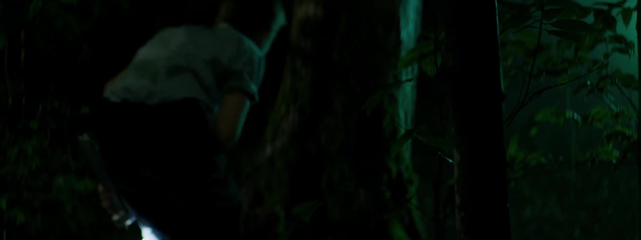A young boy is walking through the woods at night