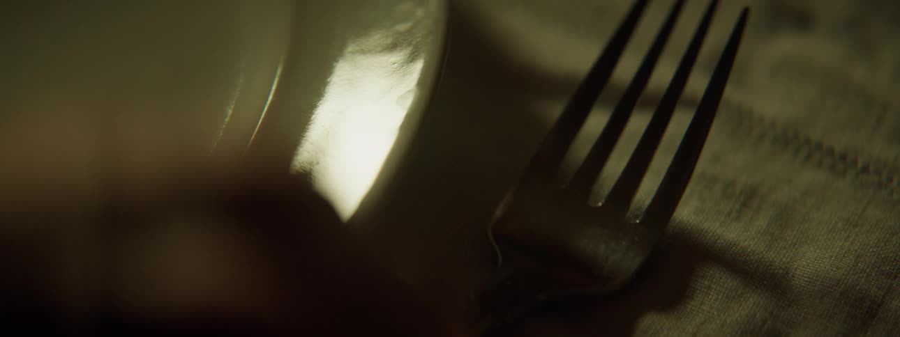 A fork is placed next to a shiny plate