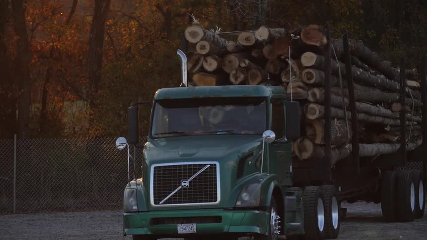 A truck is carrying a heavy load of trees