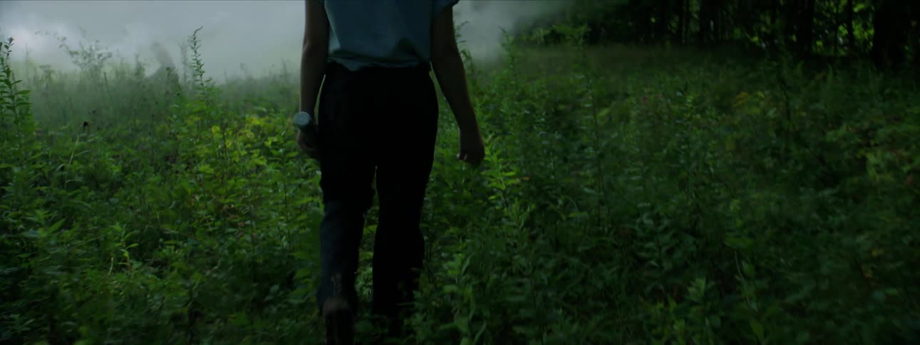 A kid in a mask walks through a foggy clearing