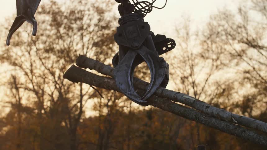 Metal claw picks up logs in the woods