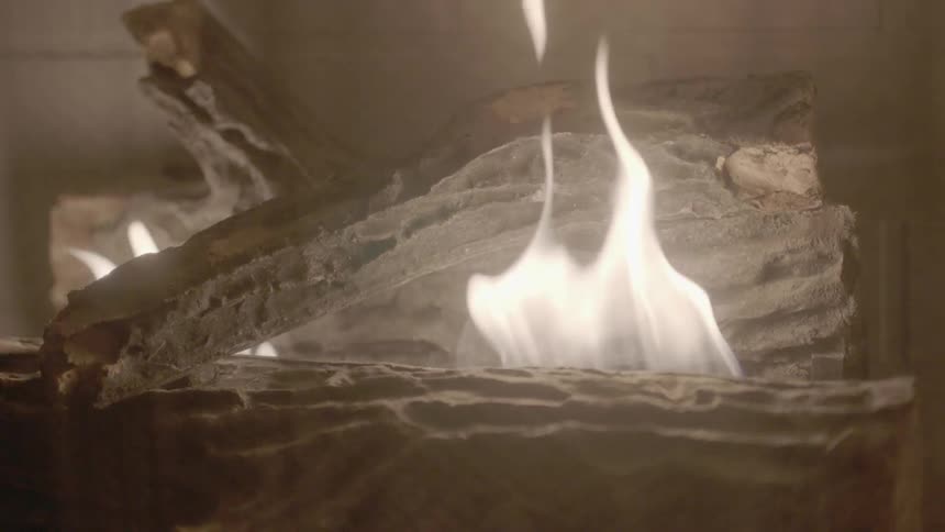 A lit fireplace viewed through its protective mesh screen
