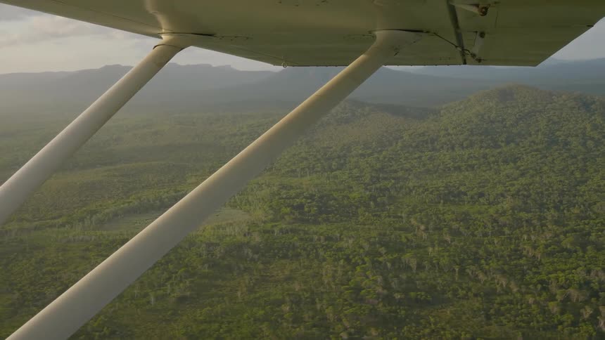 A view of a forest landscape from under the wing of a plane