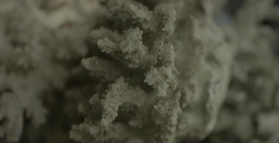Ice crystals are being filmed up close