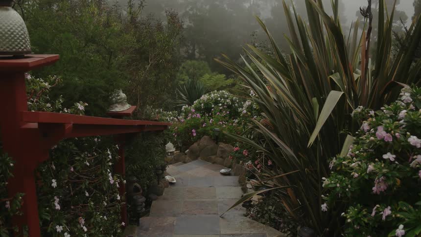 Steps surrounded by plants