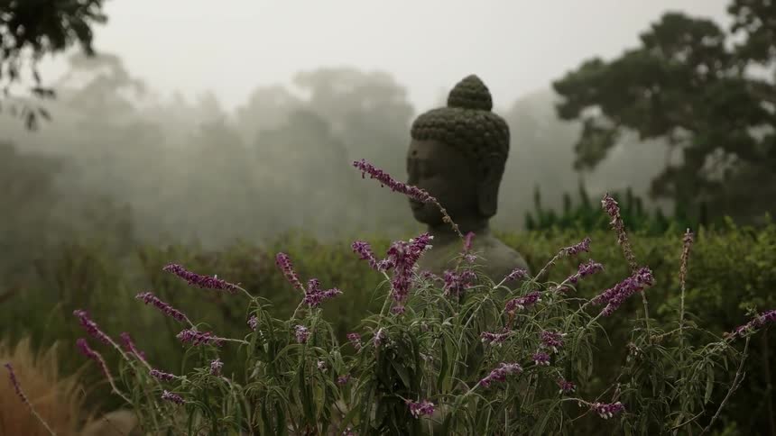 A statue sits in the garden on a cloudy day