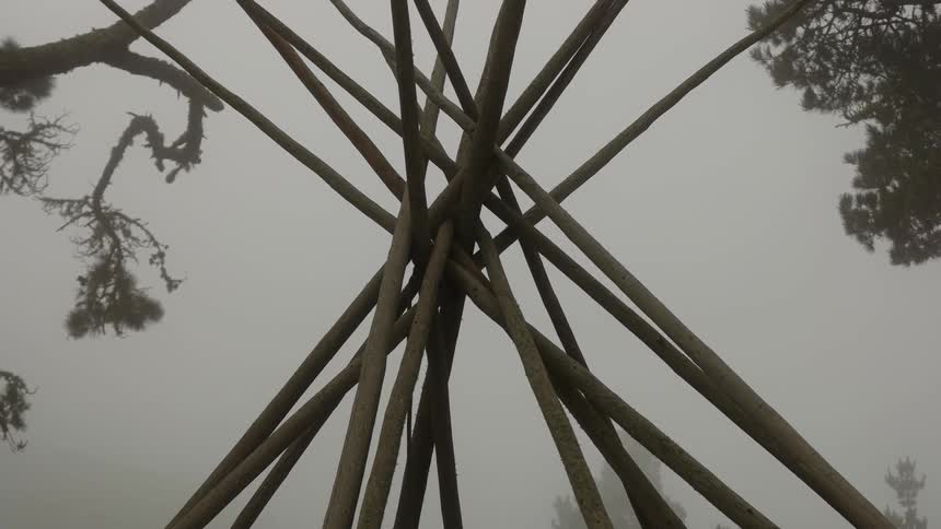The long sticks are all leaning together