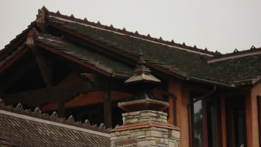 The tiled rooftop of a building is highlighted against a gray sky