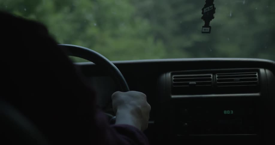 Person driving car with passenger during the day
