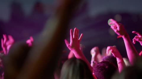 A crowd raises their arms in the air at a concert