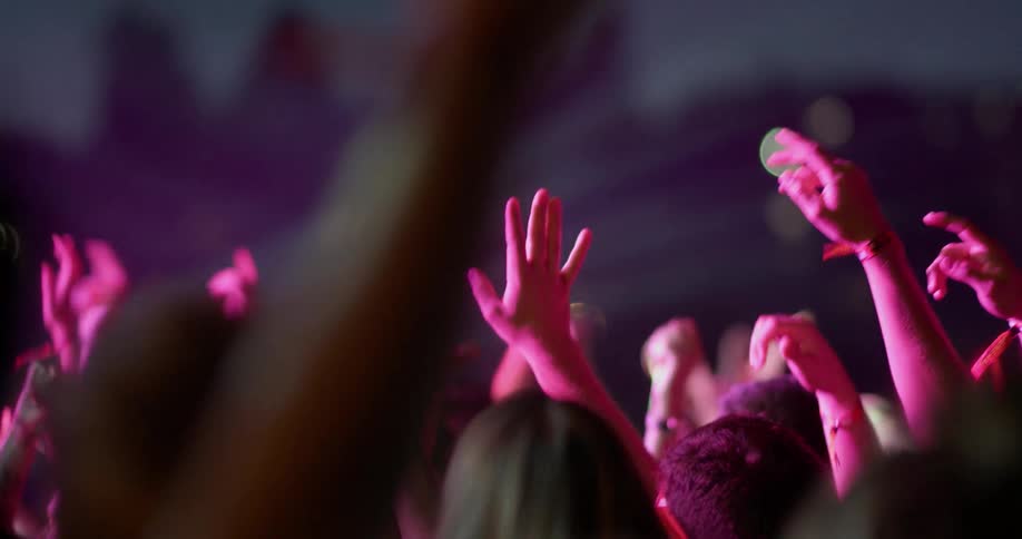 A crowd raises their arms in the air at a concert