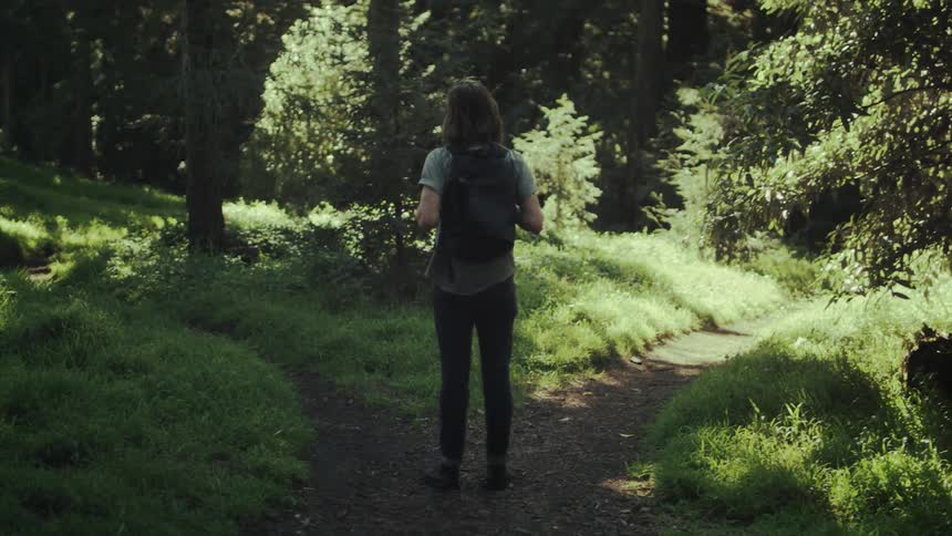 A man with a backpack is standing in the middle of the woods at a fork in the path
