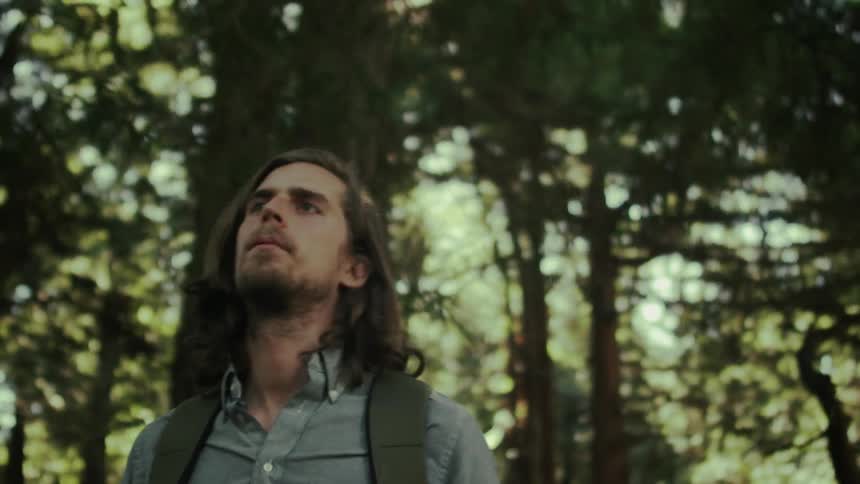 A man hikes in a forest on a sunny day