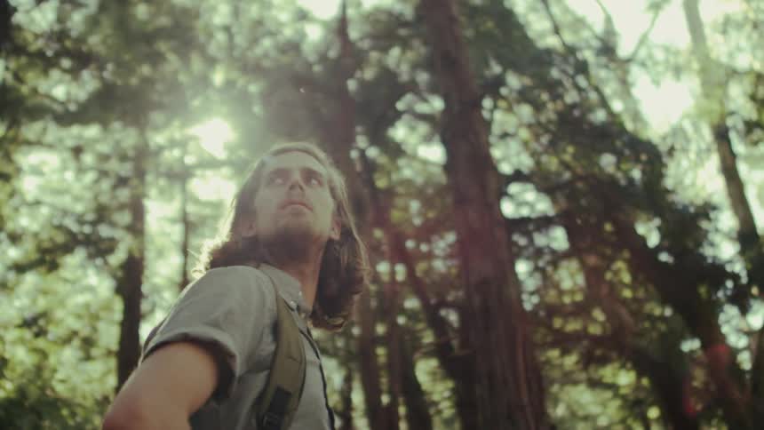 A man hikes in a forest on a sunny day