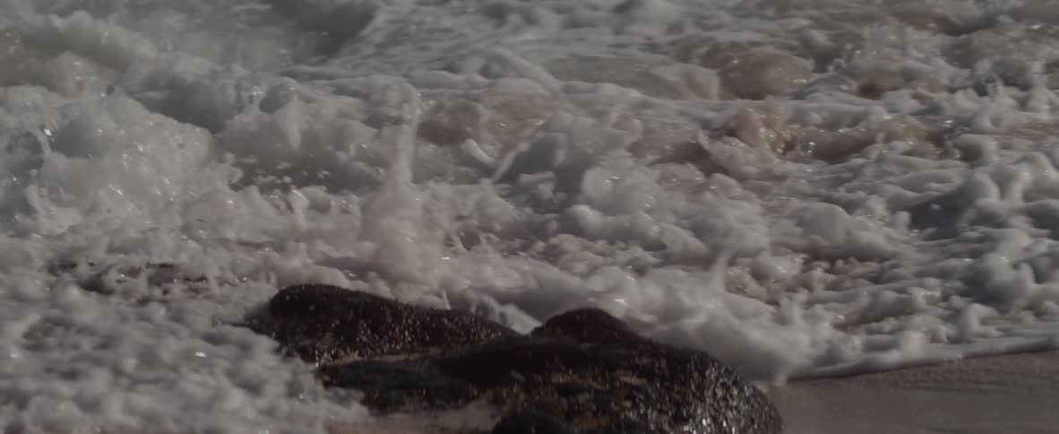 Large waves splashing against the sand of the shore