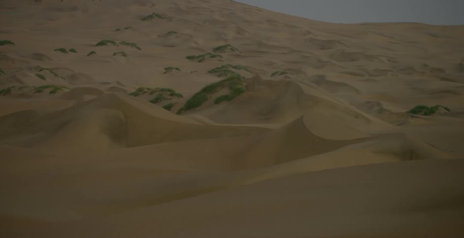 The desert ahead has some green in spots