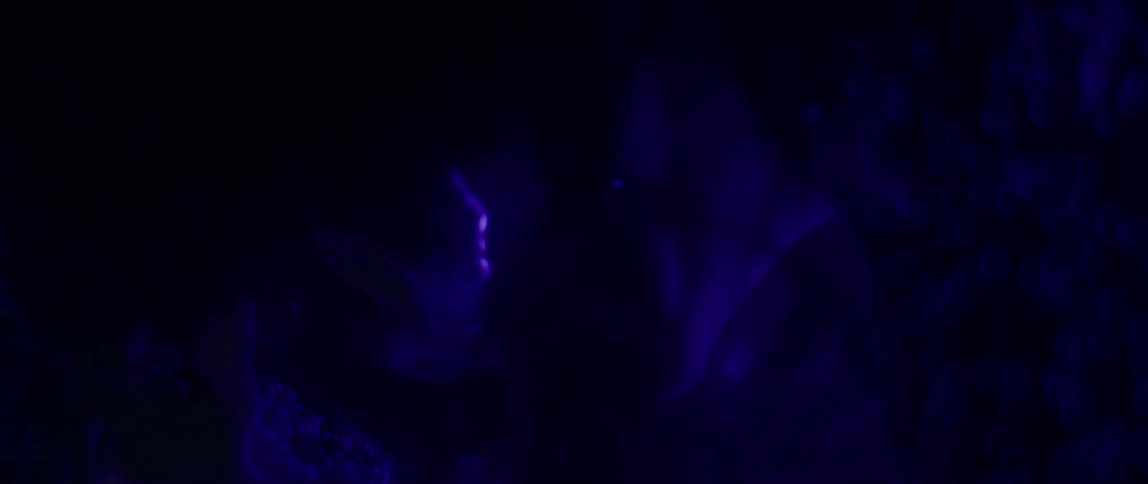 Air bubbles in a purple glowing fish tank