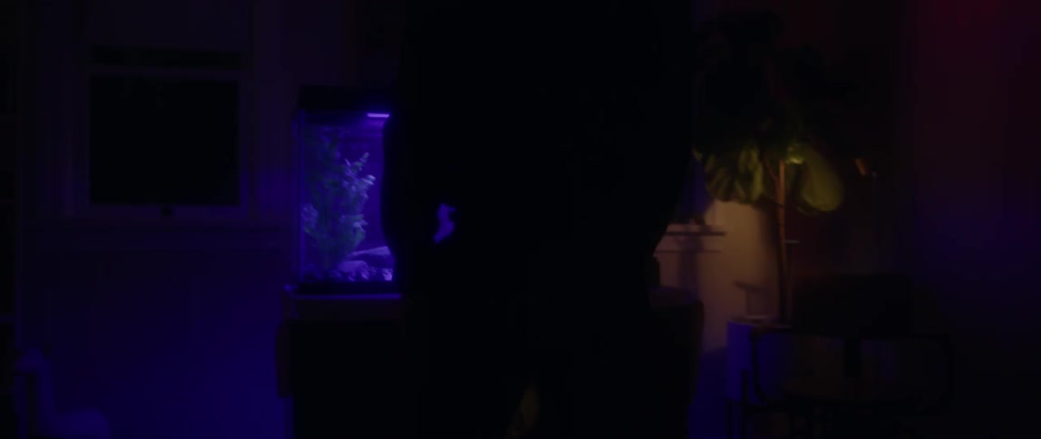 A man with a gold hood over his head stares at an aquarium