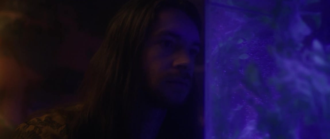 A man looks in the aquarium very closely