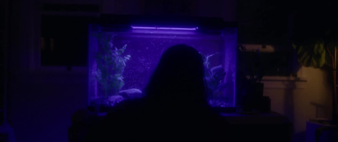 A man with long hair sits down in front of a fish tank