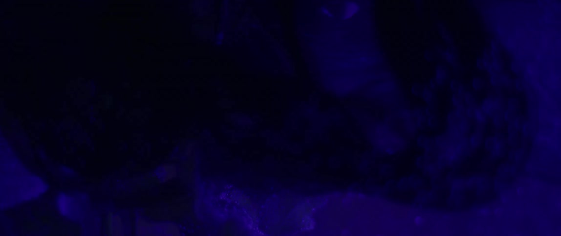 A man submerges his face in a fish tank