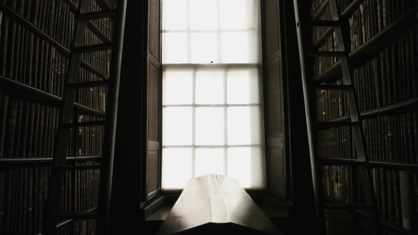 The library has many books, and is empty