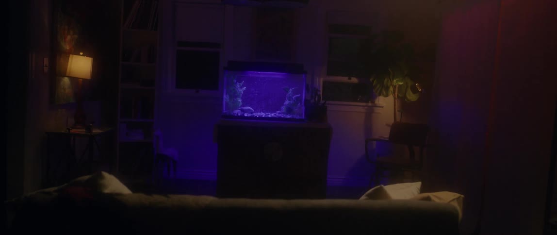 A fish tank glows in a living room at night