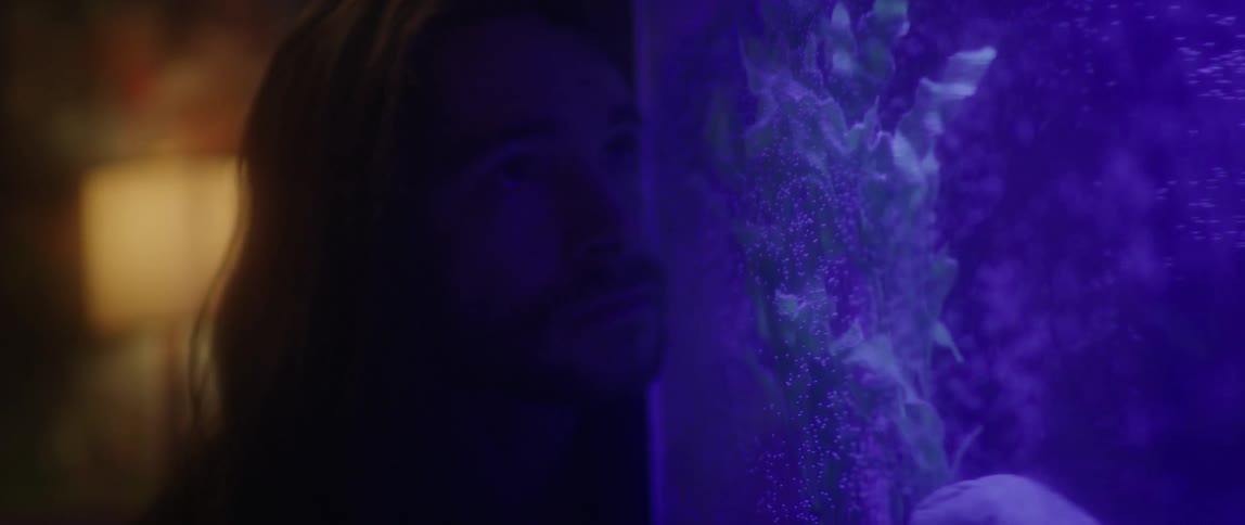 A man leans close to a fish tank