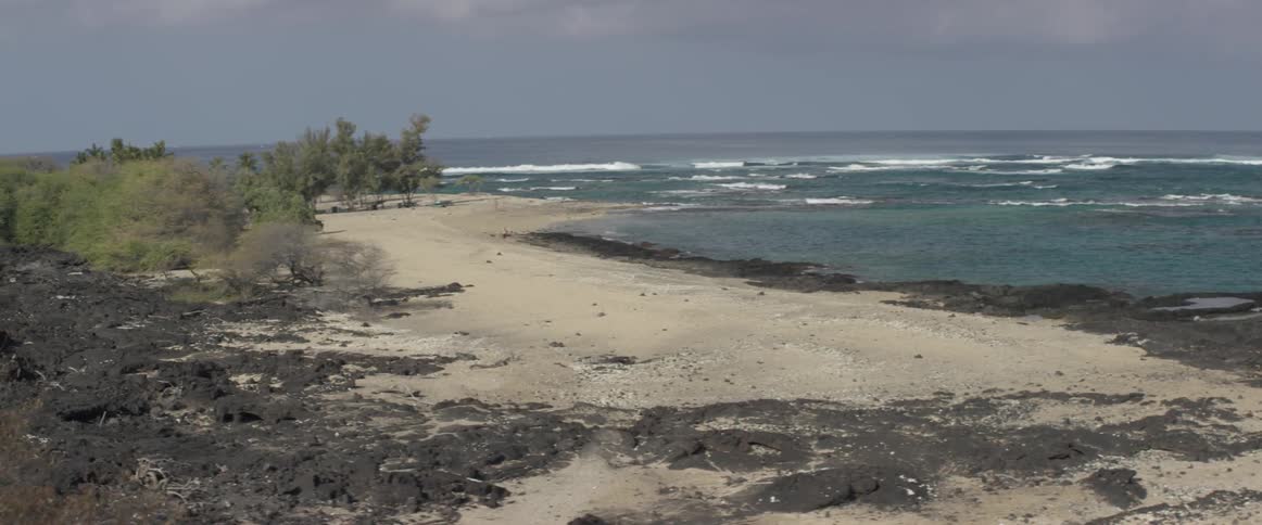Ocean waves come to shore on a beach ringed with bushes and trees