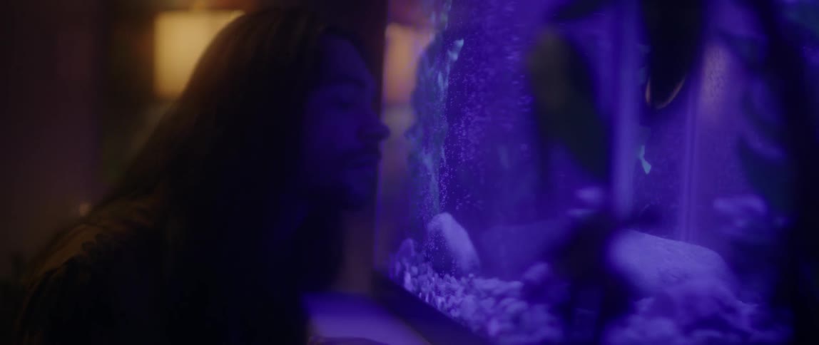 A man stares into a blue lit fish tank