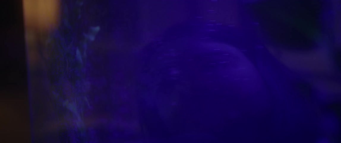 A man's reflection is seen in an aquarium