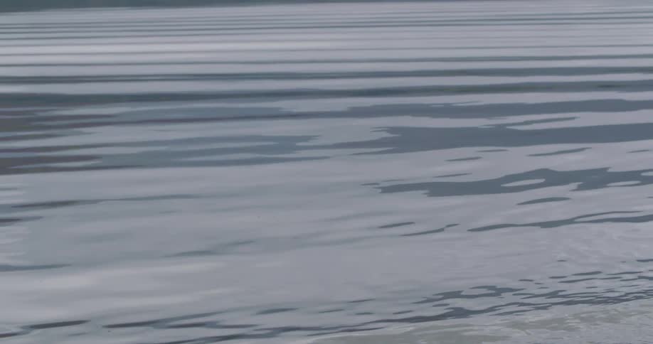 The water has small ripples