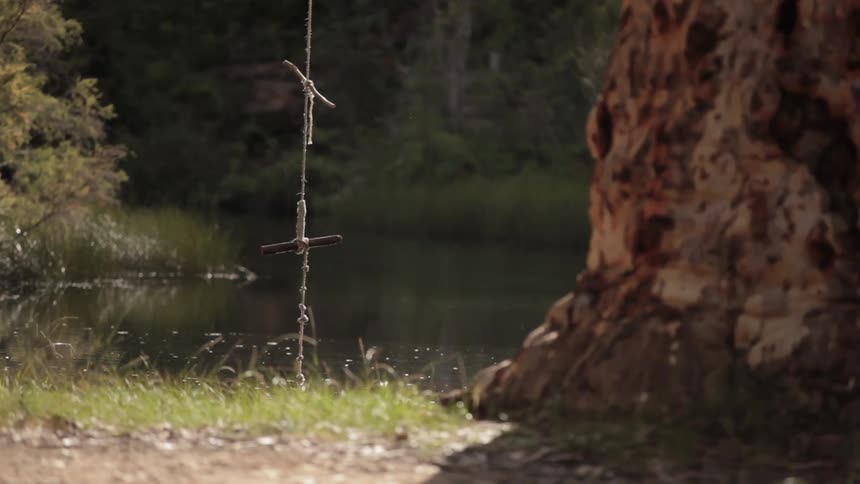 A rope swing hanging from a tree