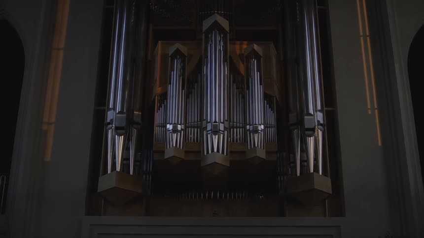 A giant pipe organ embedded in a wall