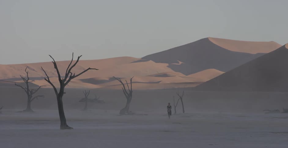 A woman walks alone in a desert near bare trees