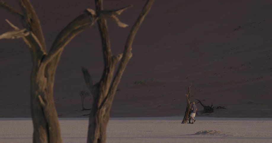 Two photographers walk in a desert