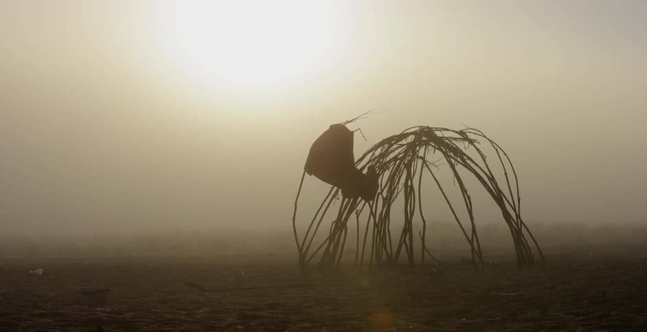 The sun is shining through haze onto a wood hut