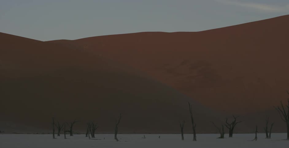 The desert has a long sandy hill ahead