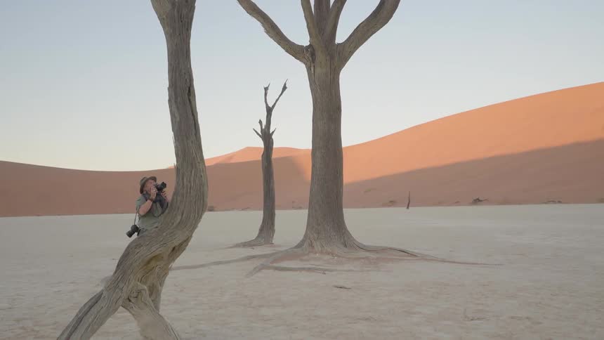 A photographer is taking photos of a dead tree in a desert