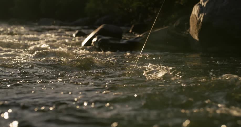A fishing line is pulled in the river current