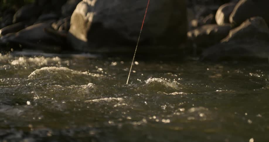 The fishing line moves in the stream water